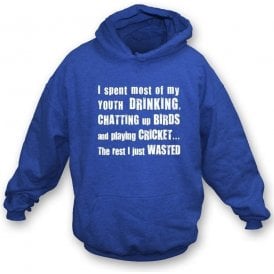 I Spent Most of my Youth Drinking Hooded Sweatshirt