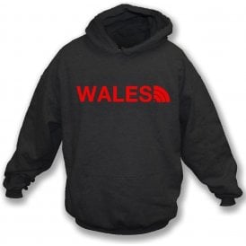 Wales Region Kids Hooded Sweatshirt