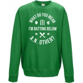 What Do You Mean I'm Batting Below A.N.Other? Sweatshirt